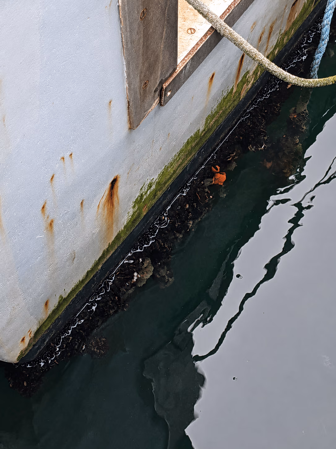 Boat hull with rust spots, green algae near waterline, and ropes over dark water with reflections.