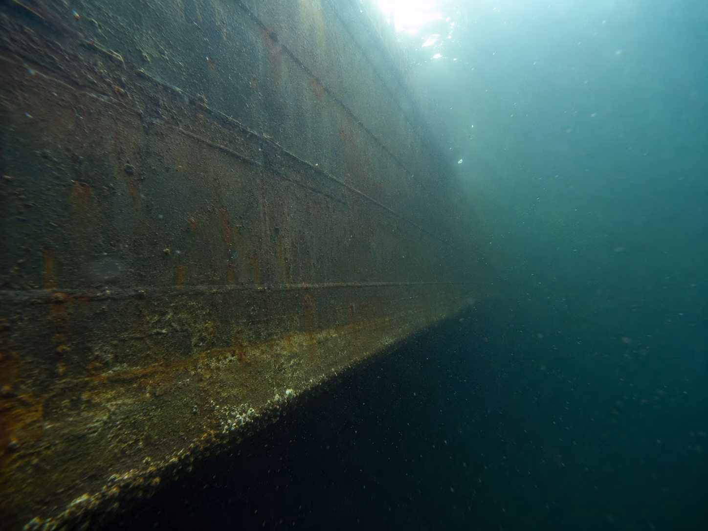 Underwater view of a large rusted ship hull covered with marine growth.